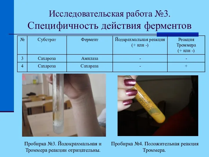 Исследовательская работа №3. Специфичность действия ферментов