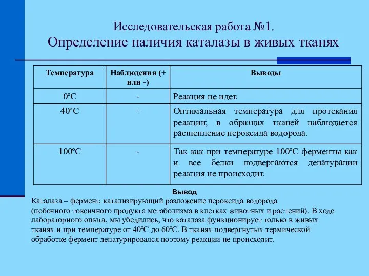 Исследовательская работа №1. Определение наличия каталазы в живых тканях Вывод Каталаза