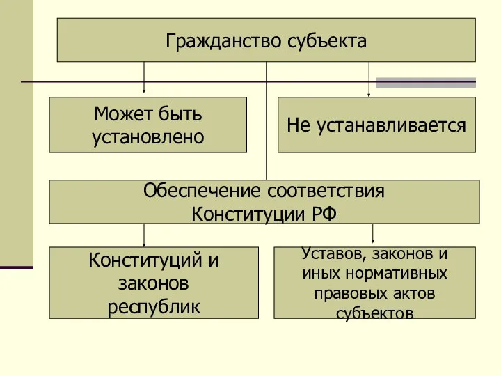 Гражданство субъекта Может быть установлено Не устанавливается Обеспечение соответствия Конституции РФ