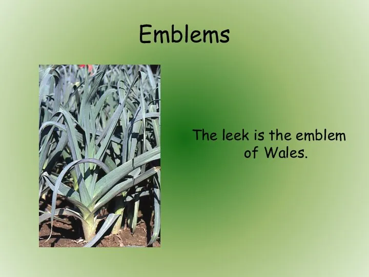 Emblems The leek is the emblem of Wales.