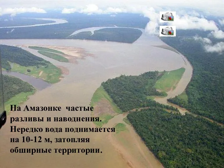 На Амазонке частые разливы и наводнения. Нередко вода поднимается на 10-12 м, затопляя обширные территории.