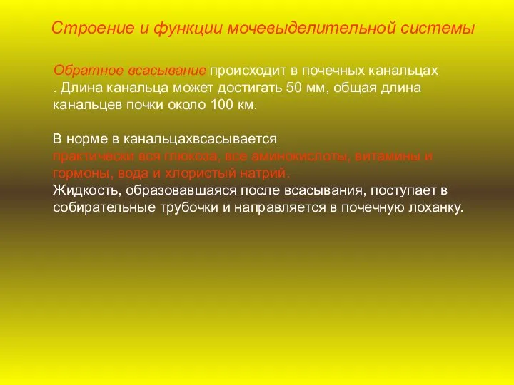 Обратное всасывание происходит в почечных канальцах . Длина канальца может достигать