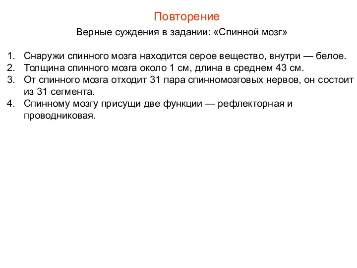 Повторение Верные суждения в задании: «Спинной мозг» Снаружи спинного мозга находится