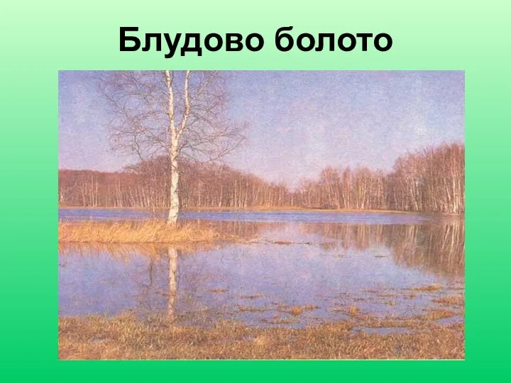 Блудово болото