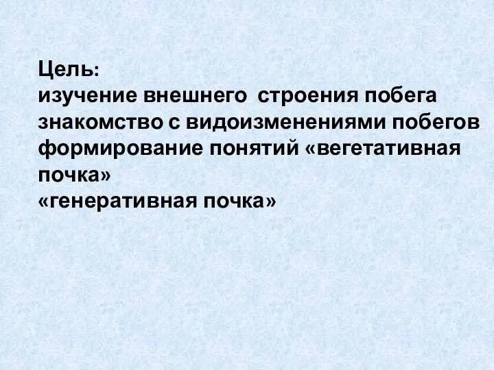 Цель: изучение внешнего строения побега знакомство с видоизменениями побегов формирование понятий «вегетативная почка» «генеративная почка»