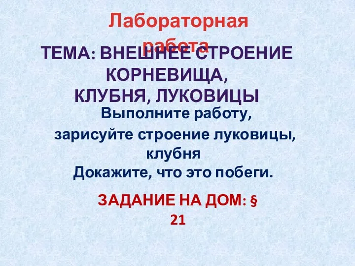 Лабораторная работа ТЕМА: Внешнее строение корневища, клубня, луковицы Выполните работу, зарисуйте