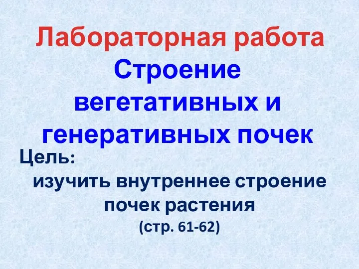 Лабораторная работа Строение вегетативных и генеративных почек Цель: изучить внутреннее строение почек растения (стр. 61-62)