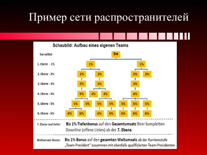 Пример сети распространителей