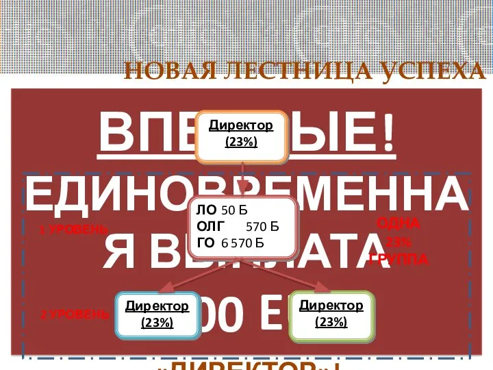 НОВАЯ ЛЕСТНИЦА УСПЕХА ДИРЕКТОР УСЛОВИЕ КВАЛИФИКАЦИИ в течение любых 6 месяцев