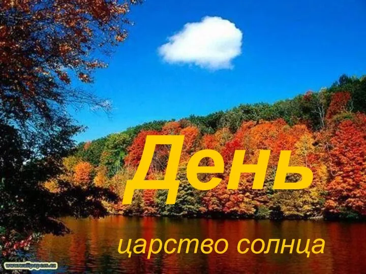 День царство солнца