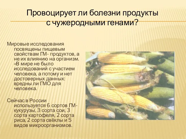 Мировые исследования посвящены пищевым свойствам ГМ- продуктов, а не их влиянию