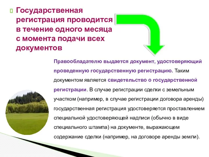 Государственная регистрация проводится в течение одного месяца с момента подачи всех