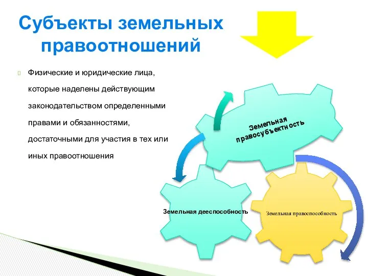 Физические и юридические лица, которые наделены действующим законодательством определенными правами и