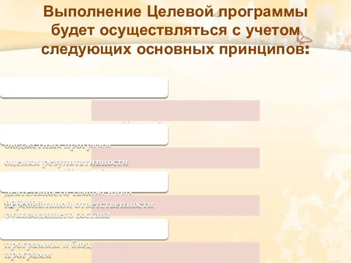 Выполнение Целевой программы будет осуществляться с учетом следующих основных принципов: