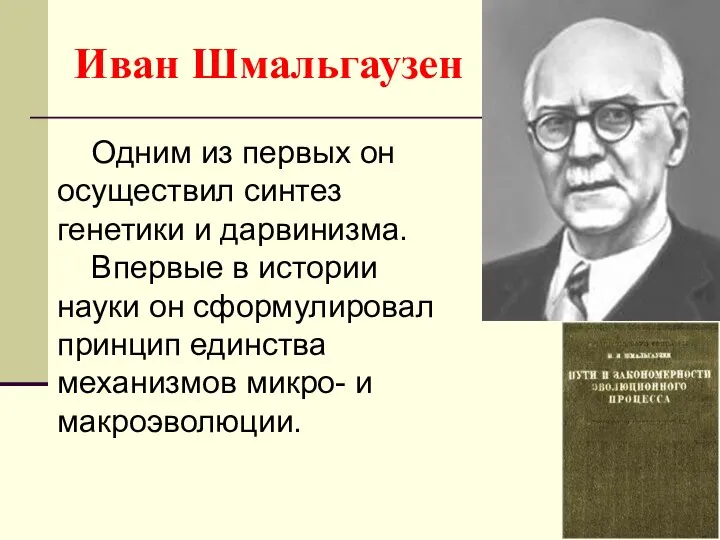 Иван Шмальгаузен Одним из первых он осуществил синтез генетики и дарвинизма.