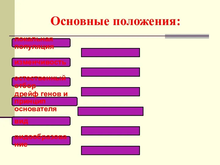 Основные положения: