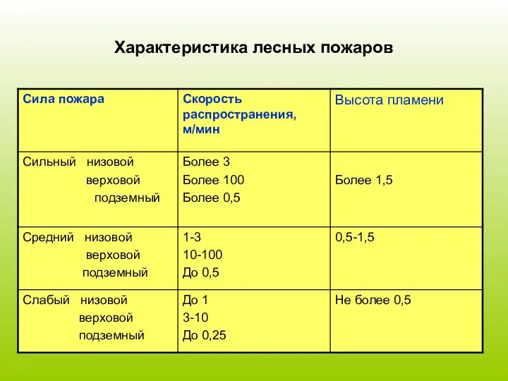 Характеристика лесных пожаров