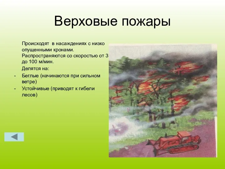 Верховые пожары Происходят в насаждениях с низко опущенными кронами. Распространяются со