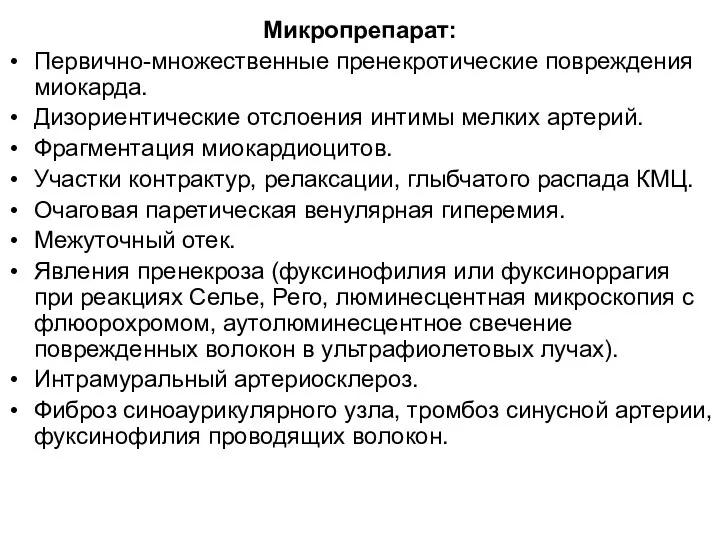 Микропрепарат: Первично-множественные пренекротические повреждения миокарда. Дизориентические отслоения интимы мелких артерий. Фрагментация