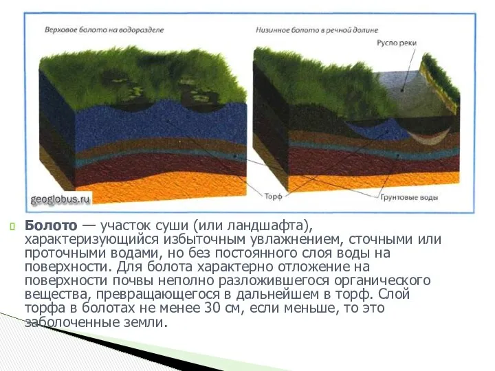 Болото — участок суши (или ландшафта), характеризующийся избыточным увлажнением, сточными или