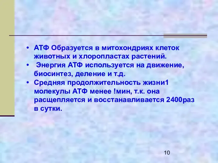 АТФ Образуется в митохондриях клеток животных и хлоропластах растений. Энергия АТФ