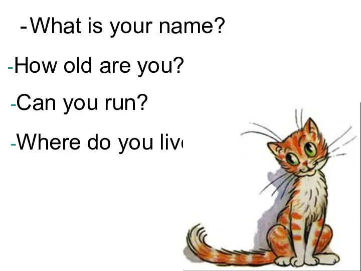 What is your name? How old are you? Can you run? Where do you live?