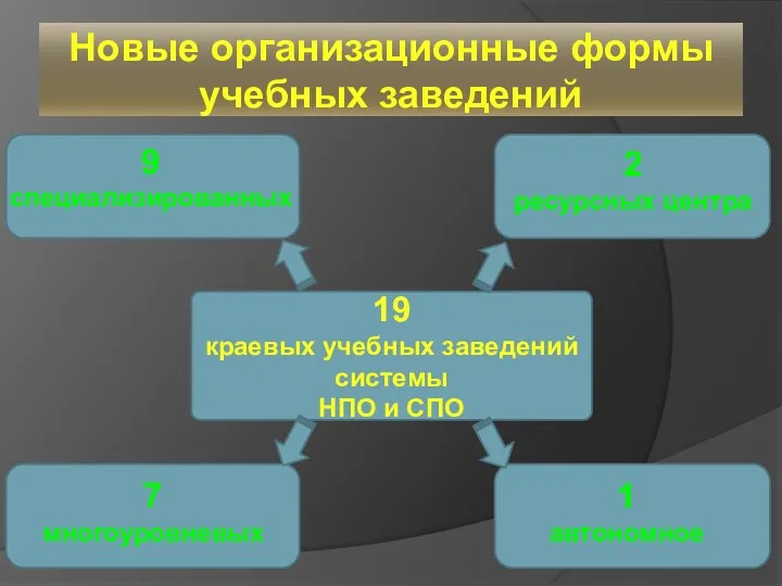 Новые организационные формы учебных заведений 19 краевых учебных заведений системы НПО