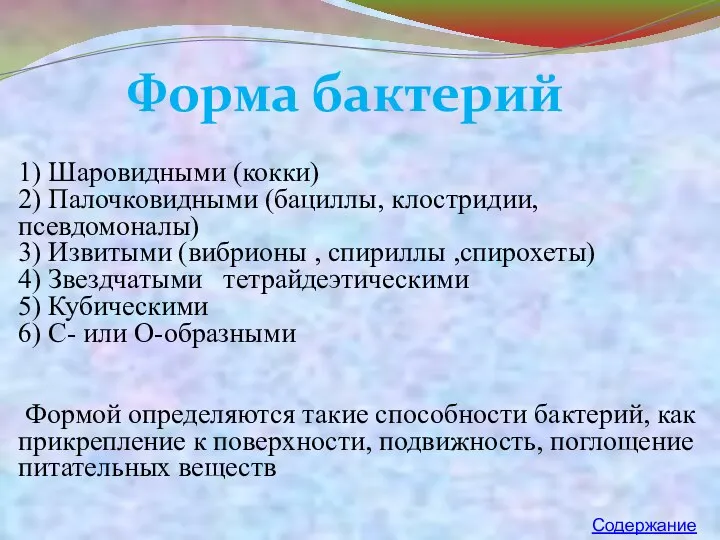 1) Шаровидными (кокки) 2) Палочковидными (бациллы, клостридии, псевдомоналы) 3) Извитыми (вибрионы