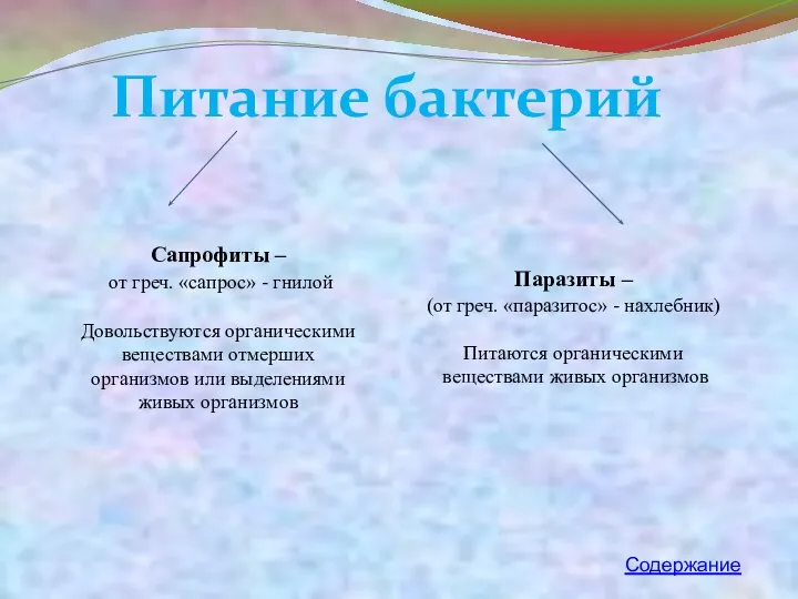 Питание бактерий Сапрофиты – от греч. «сапрос» - гнилой Довольствуются органическими