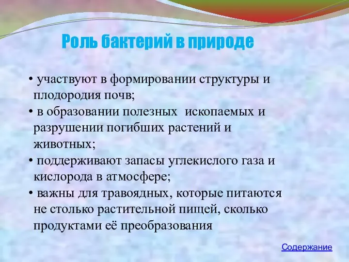 Роль бактерий в природе участвуют в формировании структуры и плодородия почв;