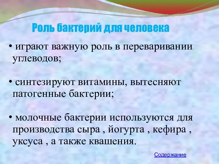 Роль бактерий для человека играют важную роль в переваривании углеводов; синтезируют