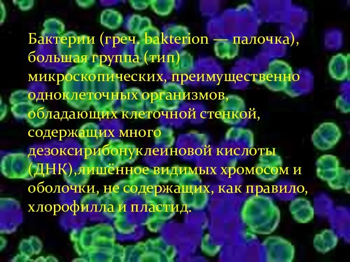 Бактерии (греч. bakterion — палочка), большая группа (тип) микроскопических, преимущественно одноклеточных