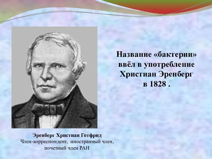 Название «бактерии» ввёл в употребление Христиан Эренберг в 1828 . Эренберг