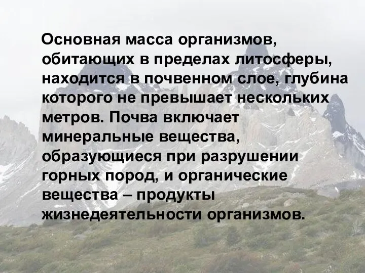 Основная масса организмов, обитающих в пределах литосферы, находится в почвенном слое,