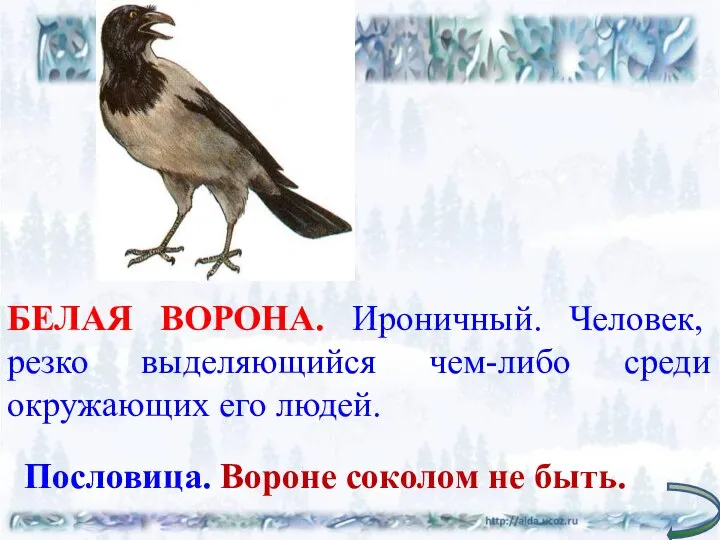 БЕЛАЯ ВОРОНА. Ироничный. Человек, резко выделяющийся чем-либо среди окружающих его людей. Пословица. Вороне соколом не быть.