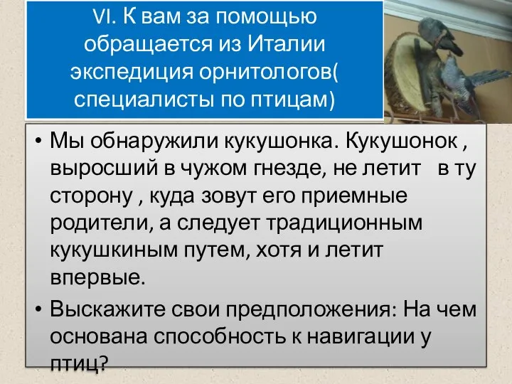 VI. К вам за помощью обращается из Италии экспедиция орнитологов( специалисты