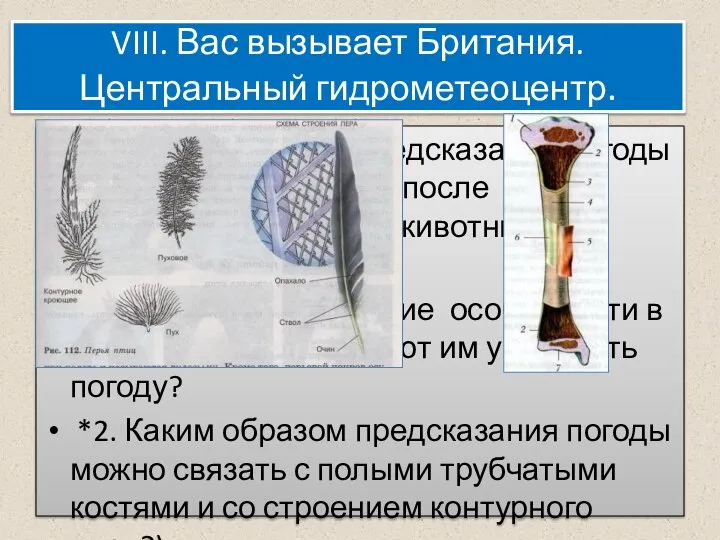 VIII. Вас вызывает Британия. Центральный гидрометеоцентр. Как известно наши предсказания погоды