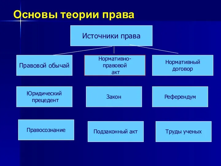 Основы теории права Правовой обычай Нормативно-правовой акт Нормативный договор Юридический прецедент