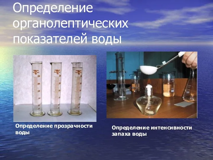 Определение органолептических показателей воды Определение прозрачности воды Определение интенсивности запаха воды