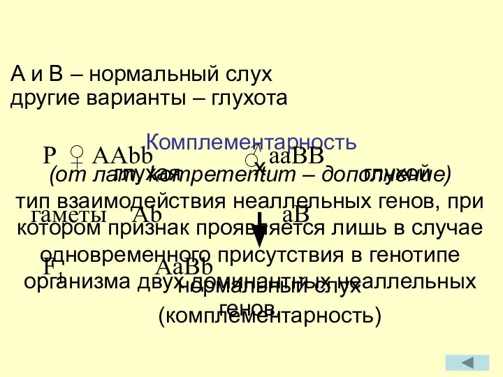 (от лат. kompementum – дополнение) тип взаимодействия неаллельных генов, при котором