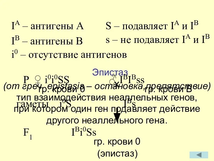 Эпистаз (от греч. epistasis – остановка,препятствие) тип взаимодействия неаллельных генов, при