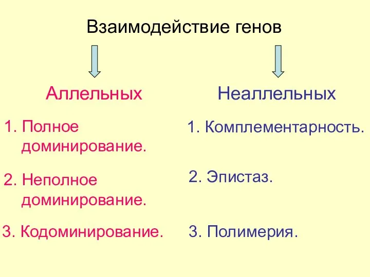 Взаимодействие генов