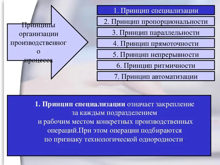 Принципы организации производственного процесса 1. Принцип специализации означает закрепление за каждым