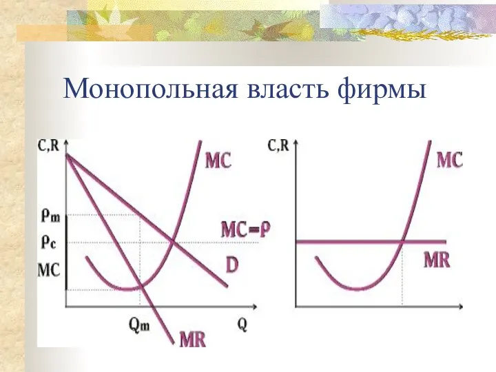 Монопольная власть фирмы