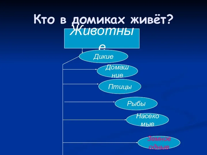 Кто в домиках живёт? Животные Домашние Птицы Рыбы Насекомые Земноводные Дикие