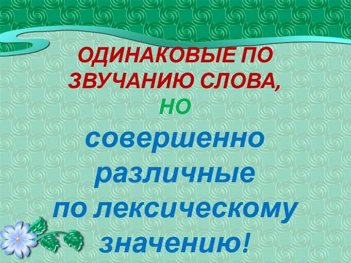 ОДИНАКОВЫЕ ПО ЗВУЧАНИЮ СЛОВА, НО совершенно различные по лексическому значению!