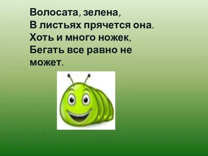 Волосата, зелена, В листьях прячется она. Хоть и много ножек, Бегать все равно не может.