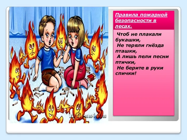 Правила пожарной безопасности в лесах. Чтоб не плакали букашки, Не теряли