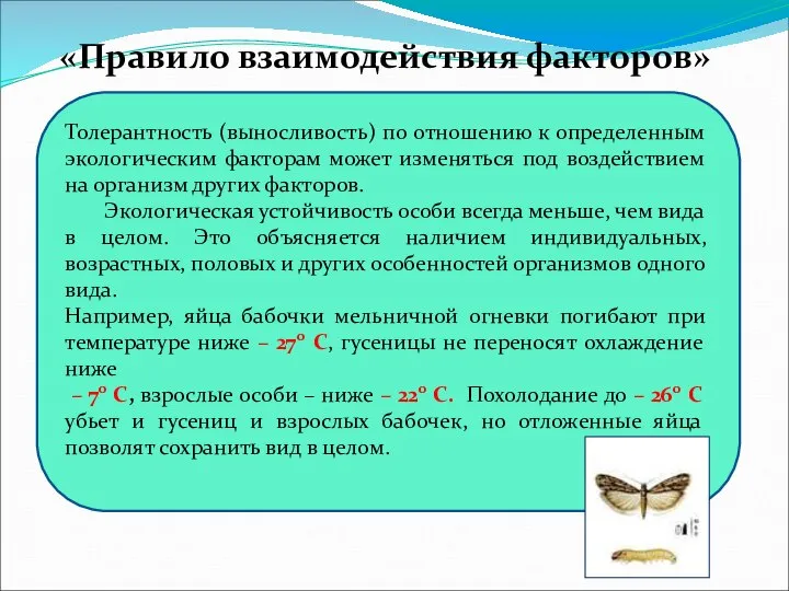 «Правило взаимодействия факторов» Толерантность (выносливость) по отношению к определенным экологическим факторам