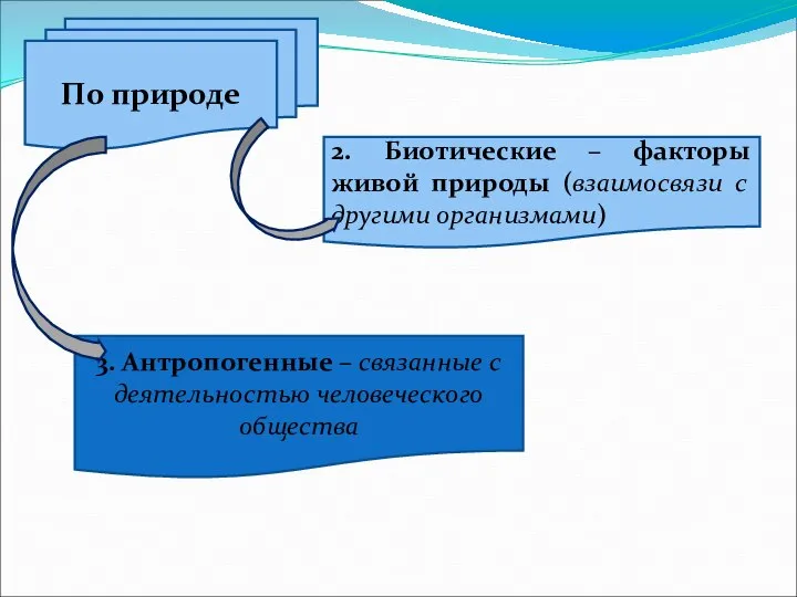 По природе 2. Биотические – факторы живой природы (взаимосвязи с другими